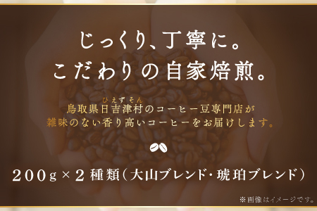 自家焙煎コーヒー（粉）　400g（200g×2種）【大山ブレンド 琥珀ブレンド コーヒー 珈琲 自家 焙煎 2種 飲み比べ 粉 コーヒー粉 ご自宅用 飲料 鳥取 日吉津村】