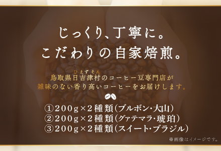【3回定期便】【コーヒー粉】極上自家焙煎コーヒー　400g×3回【ブルボン 大山 グァテマラ 琥珀 スイート ブラジルブレンド 定期コース 3回 頒布会 コーヒー 珈琲 自家 焙煎 粉 コーヒー粉 飲料 鳥取 日吉津村】