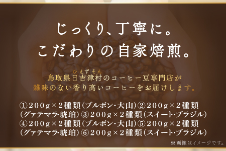 【6回定期便】【コーヒー粉】極上自家焙煎コーヒー　400g×6回【ブルボン 大山 グァテマラ 琥珀 スイート ブラジルブレンド 定期コース 6回 半年 頒布会 コーヒー 珈琲 自家 焙煎 粉 コーヒー粉 飲料 鳥取 日吉津村】