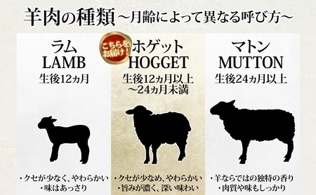 松山農場の羊のホゲット肉 ステーキ700g （350g×2） 冷凍 真空パック 羊肉 ラム マトン ロース モモ 希少 ジューシー BBQ 鉄板焼き 国産 お取り寄せ グルメ ヘルシー ギフト 北海道 美深町 ラム肉 