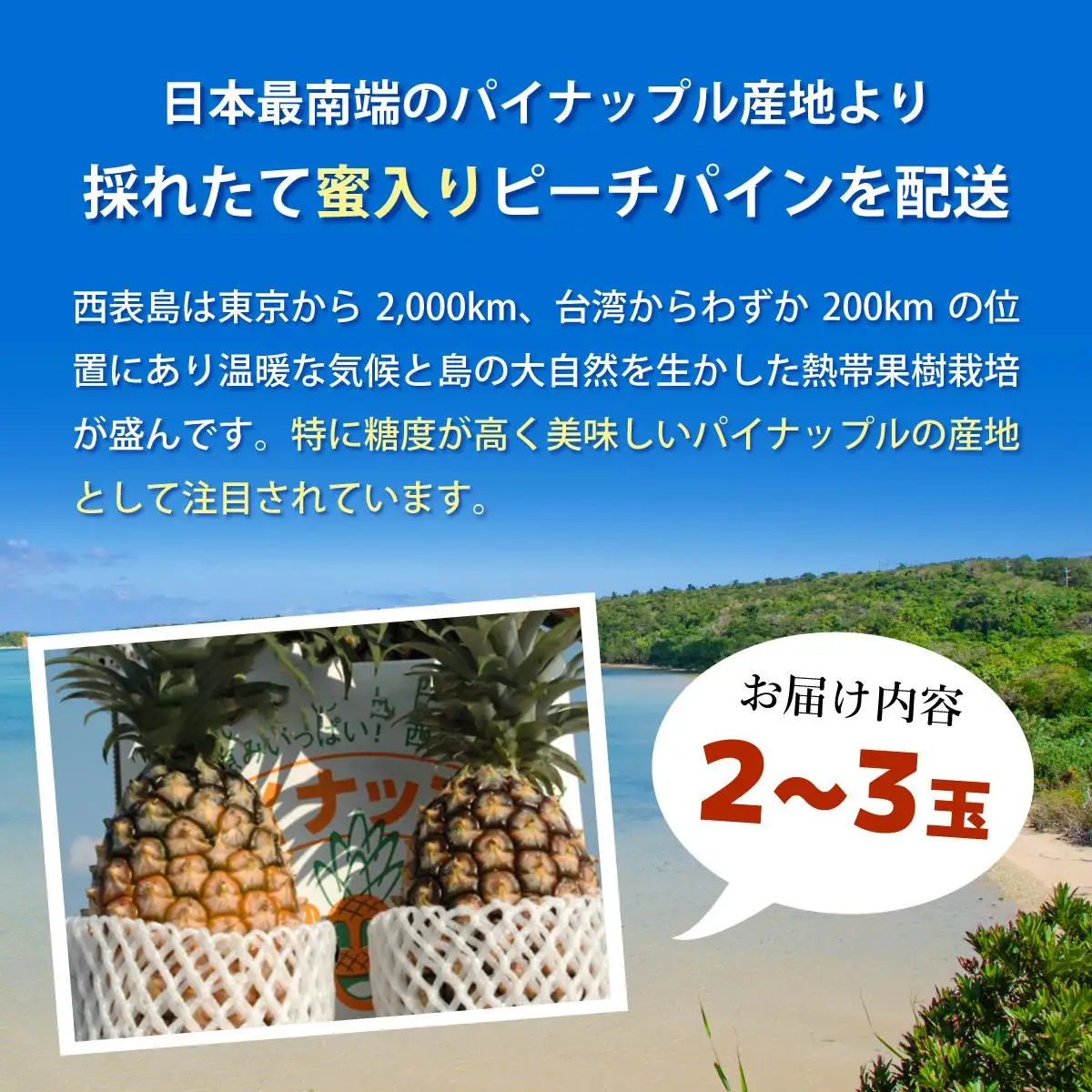 西表パイン園の蜜入り ピーチパイン 2kgセット