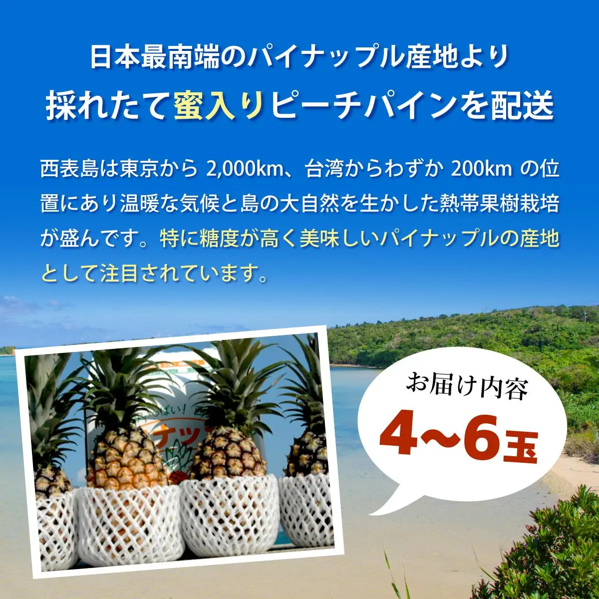 西表パイン園の蜜入り ピーチパイン4kgセット