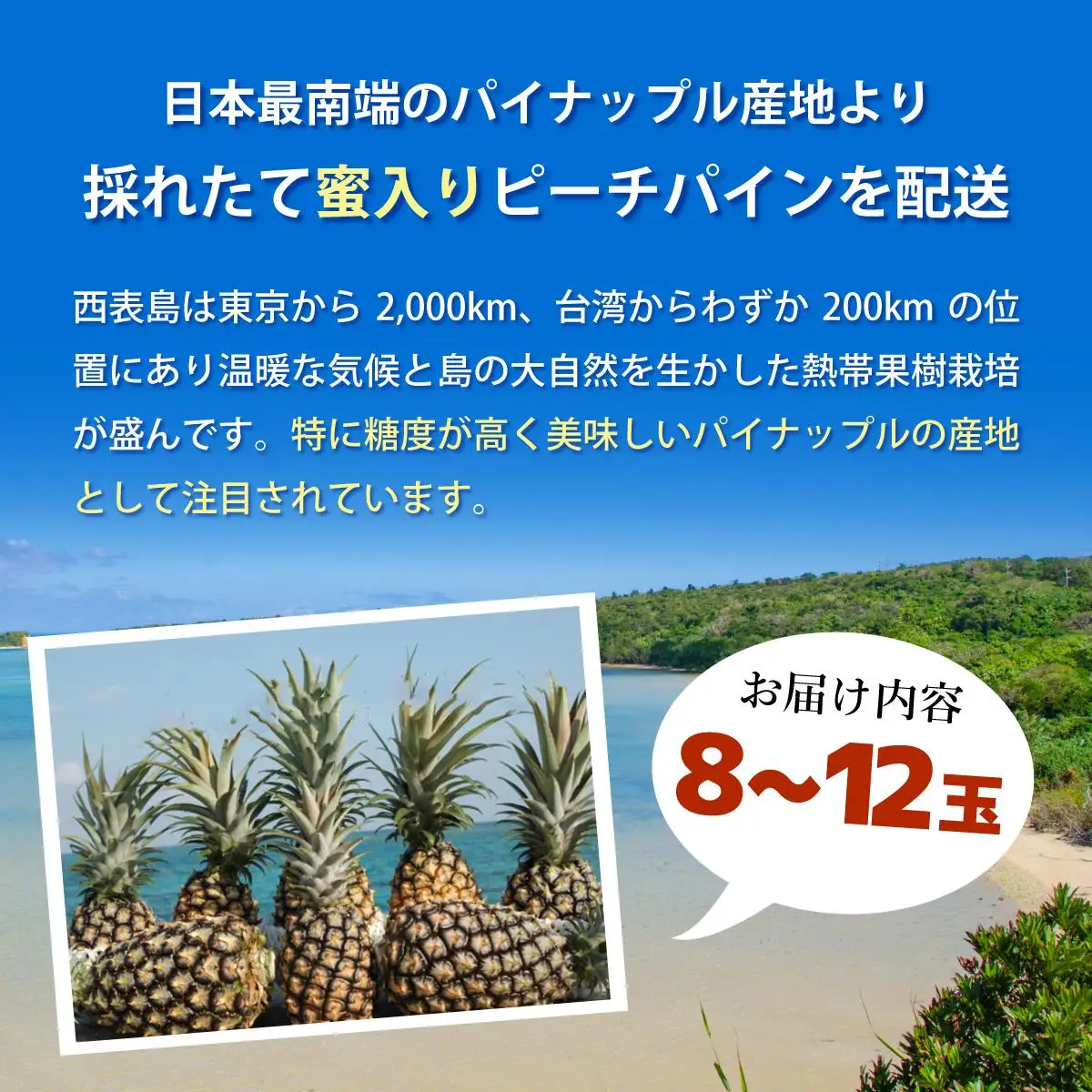 西表パイン園の蜜入り ピーチパイン8kgセット