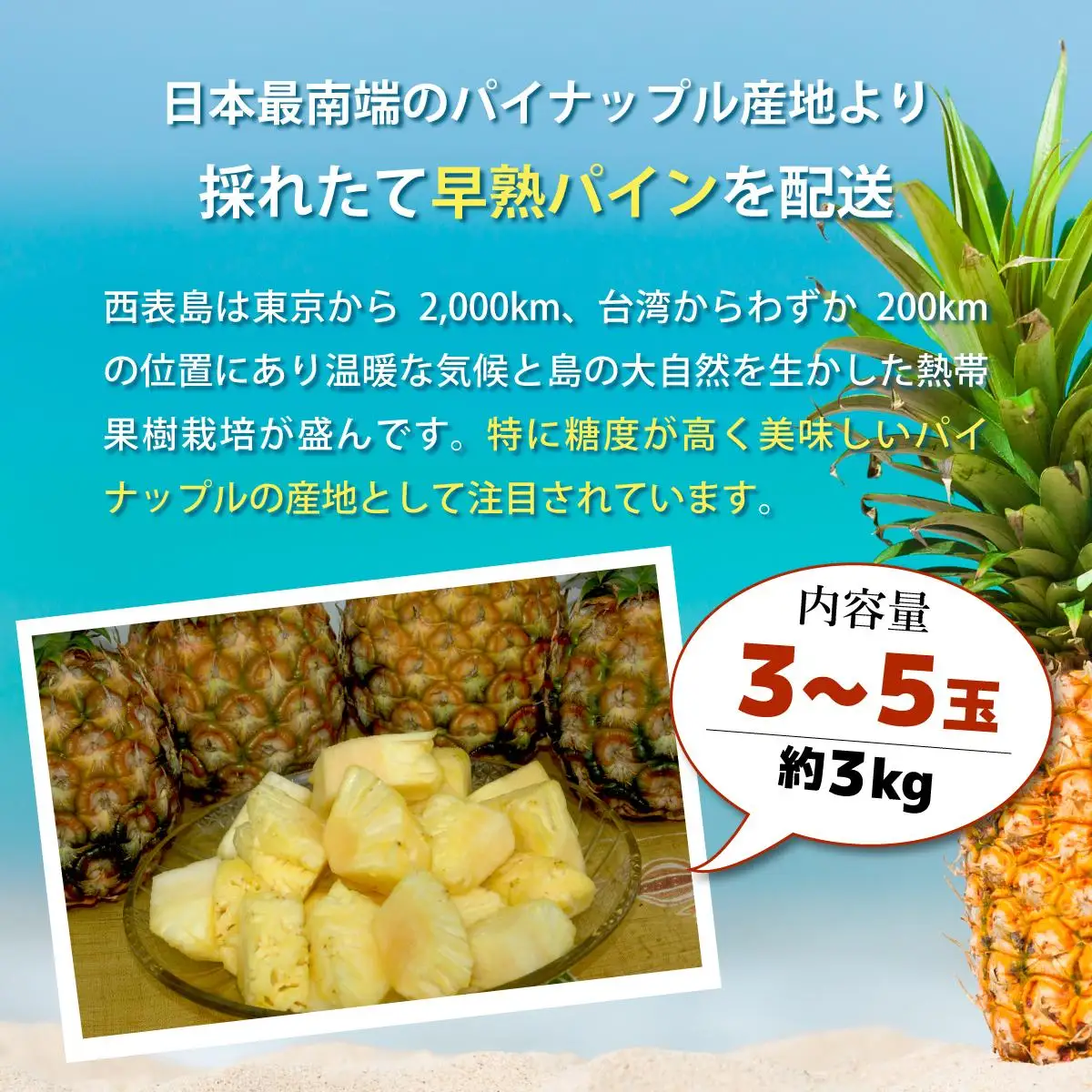 早穫り完熟パイン