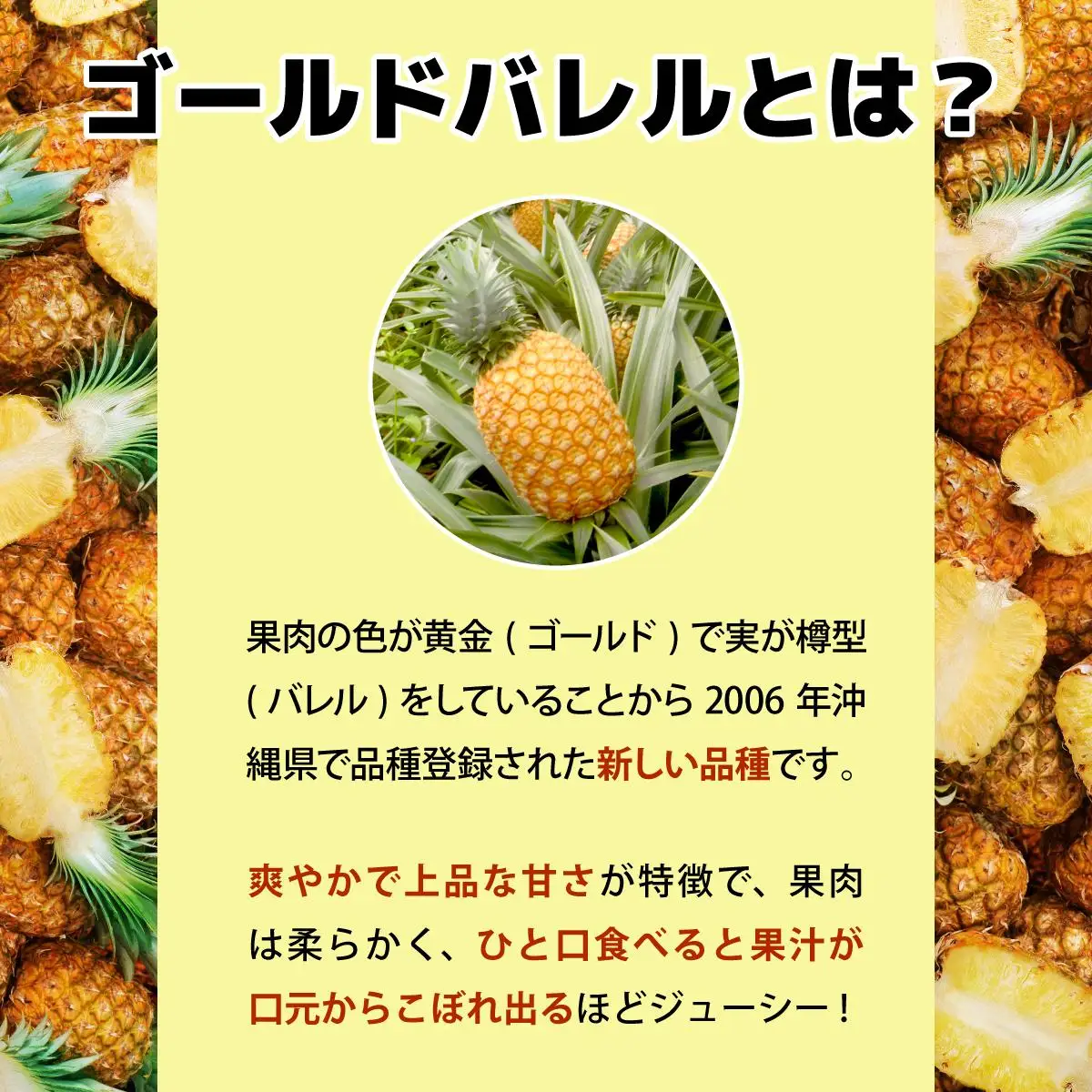 ゴールドバレルビッグな２玉セット