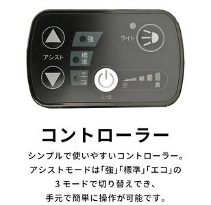電動自転車 PELTECH（ペルテック）ノーパンク 折り畳み電動アシスト自転車 20インチ 折り畳み外装6段変速（TDN-206LN）【簡易組立必要】【ブラック】