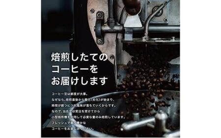 【豆】#019  インド モンスーン マラバール AA コーヒー豆 310g 当日焙煎 大山珈琲