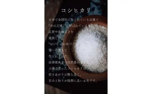 コシヒカリ　5kg×２袋　計10kg　令和7年産　会津　喜多方産【07208-0272】
