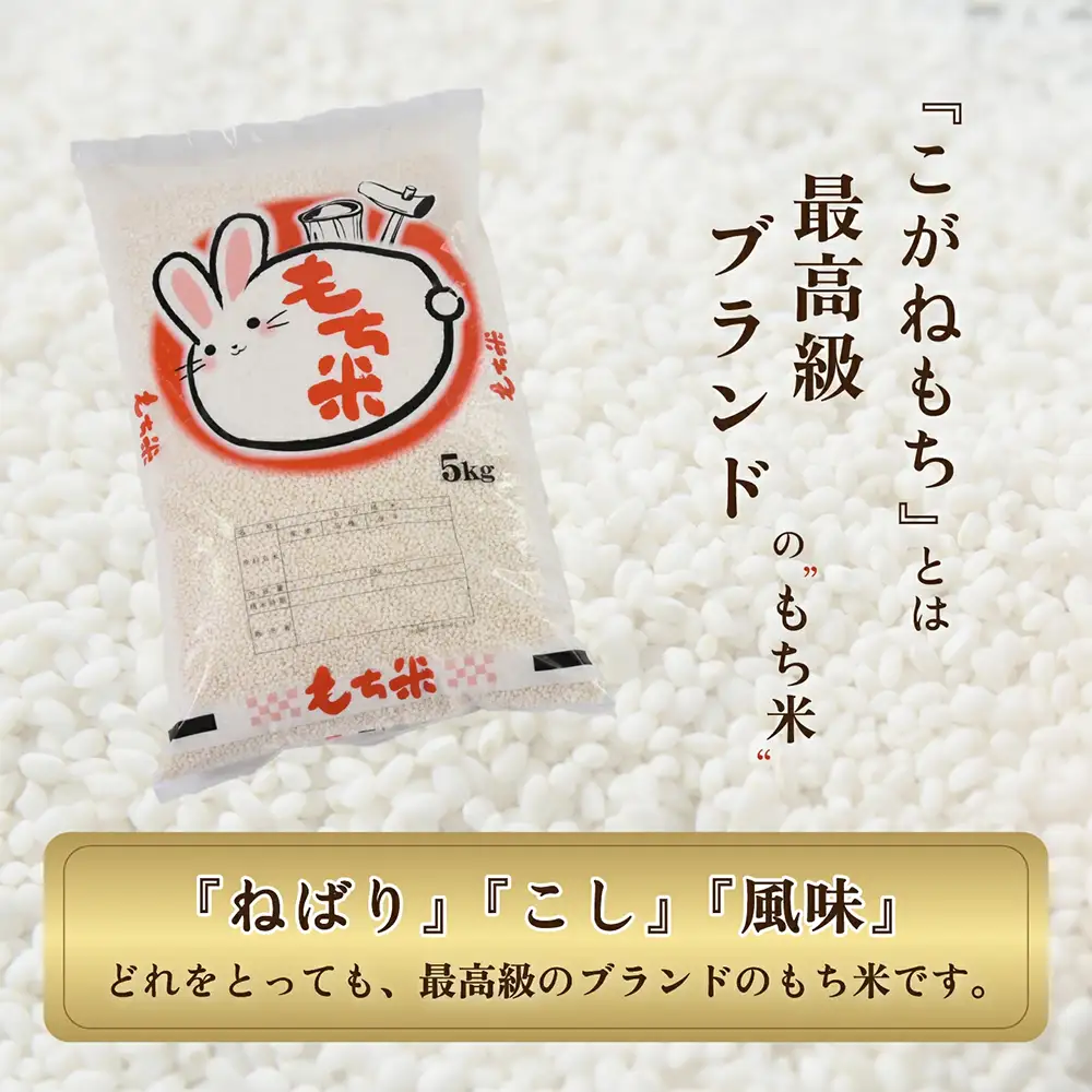 令和7年度産会津喜多方産こがねもち5kg×1袋　【07208-0351】