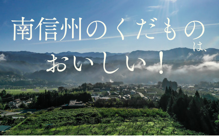 JA15 りんご サンふじ 約5kg / 2026年11月下旬～12月上旬ごろ配送予定 // 長野県 南信州 贈答 ギフト お歳暮 ふじ フジ さんふじ 新鮮 林檎 リンゴ サンフジ
