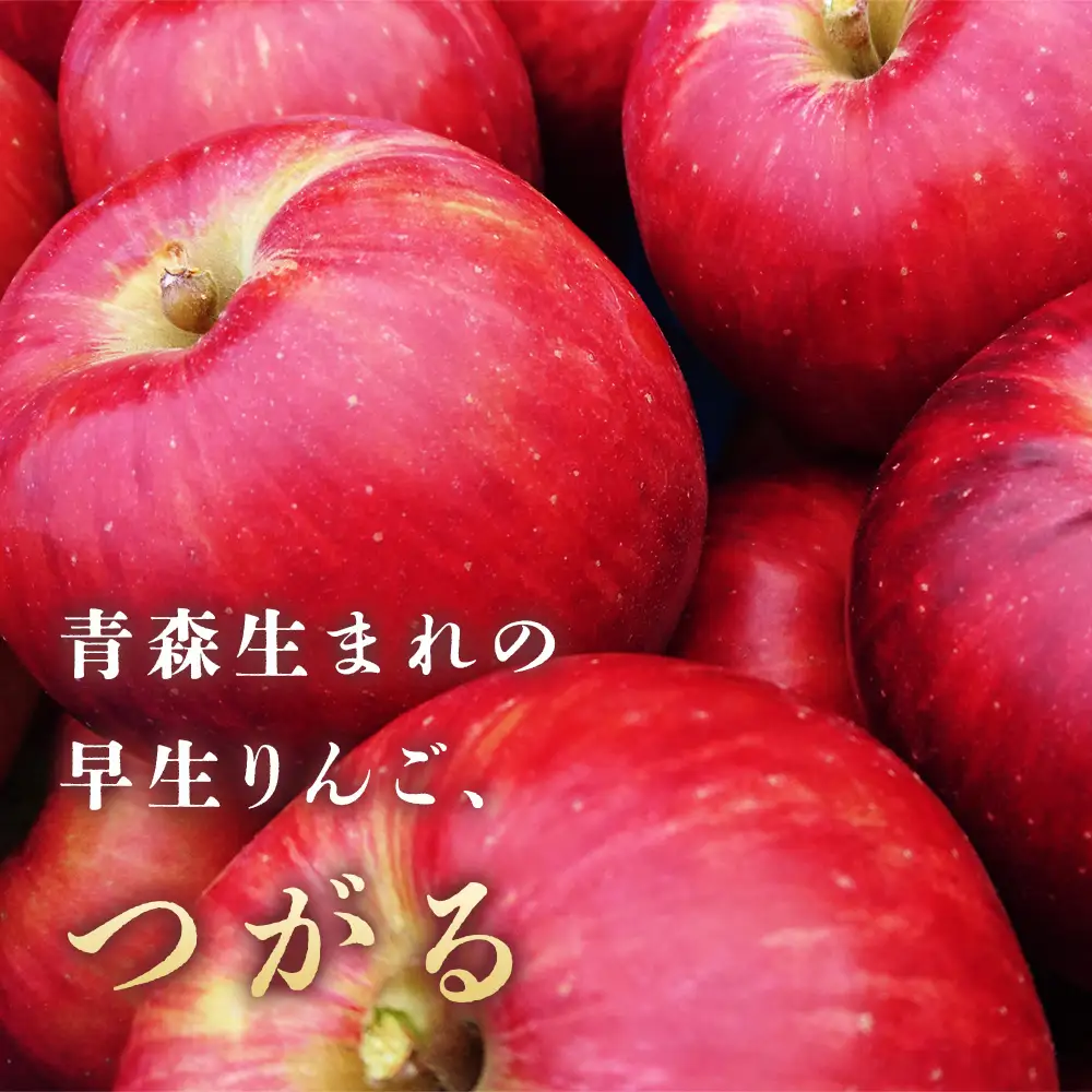 青森県産りんご つがる 約5kg りんご 9月～