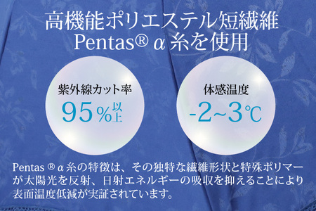 【ブラック】なつめペンタス　晴雨兼用折りたたみ傘 [J-035007_08]