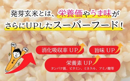 【令和7年産】発芽玄米 コシヒカリ「特選」特別栽培米使用 3kg×3袋（計9kg）【米 こしひかり 玄米 ギャバ GABA 特別栽培 食物繊維 栄養 真空パック ごはん ご飯 おいしい ふるさと納税米】 [E-2928] 