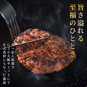 【TV出演多数】河内鴨 もも肉ハンバーグ 100g×4個 (計400g) 国産 鴨肉 ツムラ本店