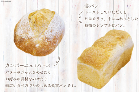 パン 『小屋』自家製酵母 カンパーニュ 食パン セット 2種 計2個 [小屋 高知県 津野町 26aa0002]