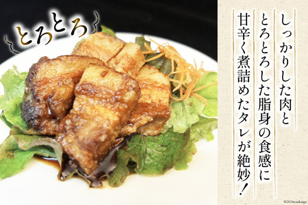 角煮 満天の星特製 (四万十ポーク使用)75g×4袋 [満天の星 高知県 津野町 26ac0002]