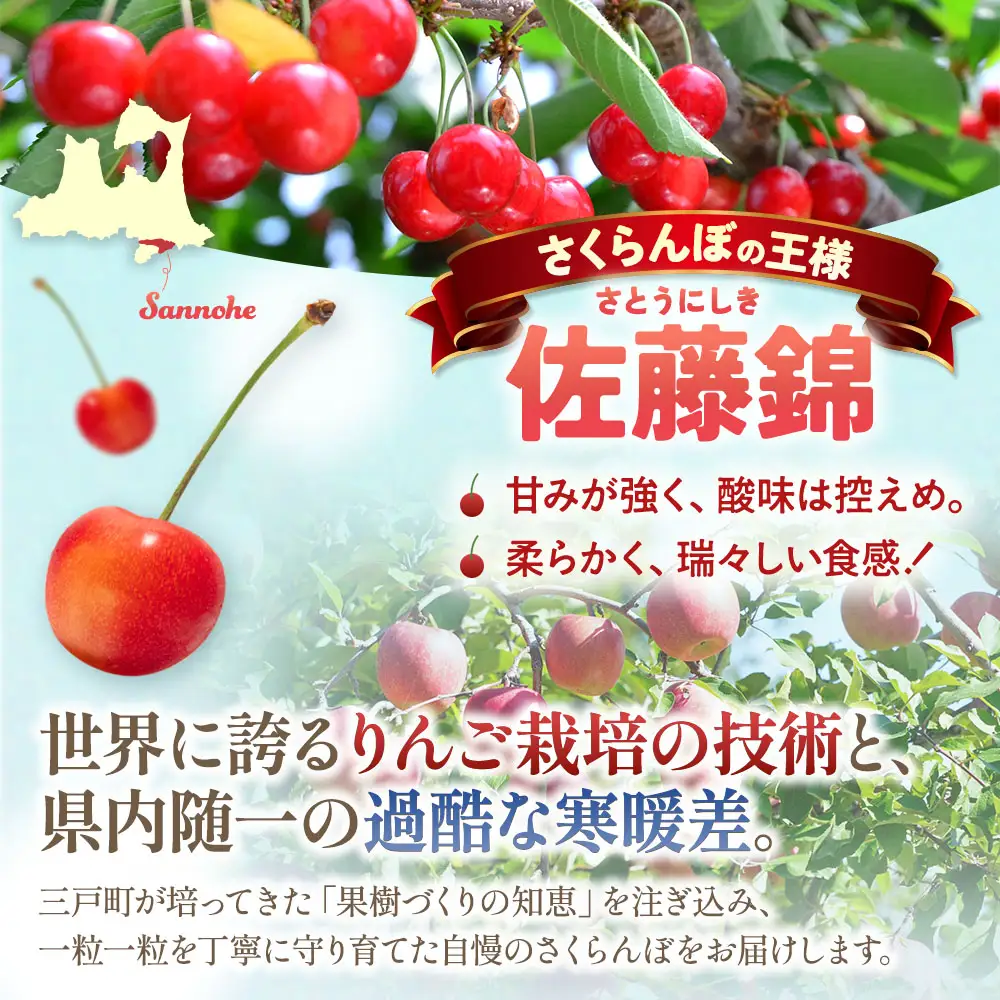 さくらんぼ 佐藤錦 1kg 青森 さくらんぼ 先行予約
