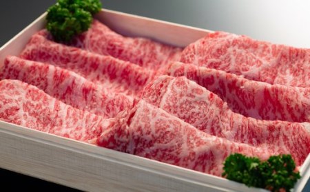国産和牛 リブロース 460g & サーロイン 200g 黒毛和牛 「三戸・田子牛」