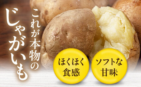 【9月下旬以降順次発送】キタアカリ 20kg じゃがいも [AJAK011]
