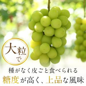 ぶどう 2026年 岡山県産 シャインマスカット 3房～4房 約2kg  贈答 ぶどう園AC