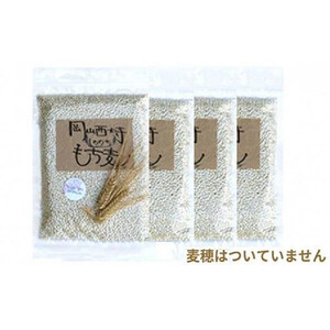 令和7年産 岡山西大寺の幸せ もち麦 (キラリモチ)  数量限定  2kg(500g×4) | 米 米