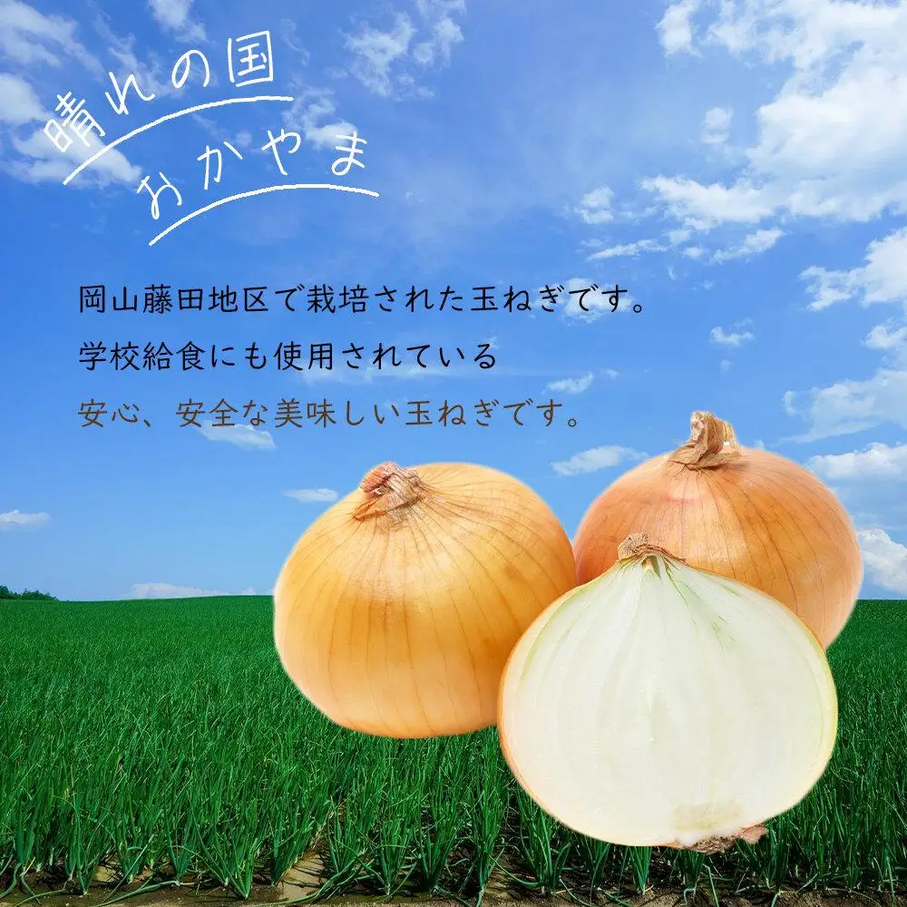 玉ねぎ 岡山市産 約10kg 2026年   野菜 たまねぎ タマネギ オニオン
