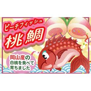桃鯛 お刺身セット 半身分【配達不可：離島】