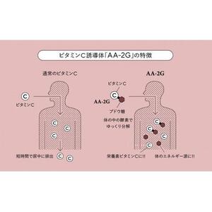 プロビタC 顆粒 60包入り 1箱 アスコルバイオ研究所