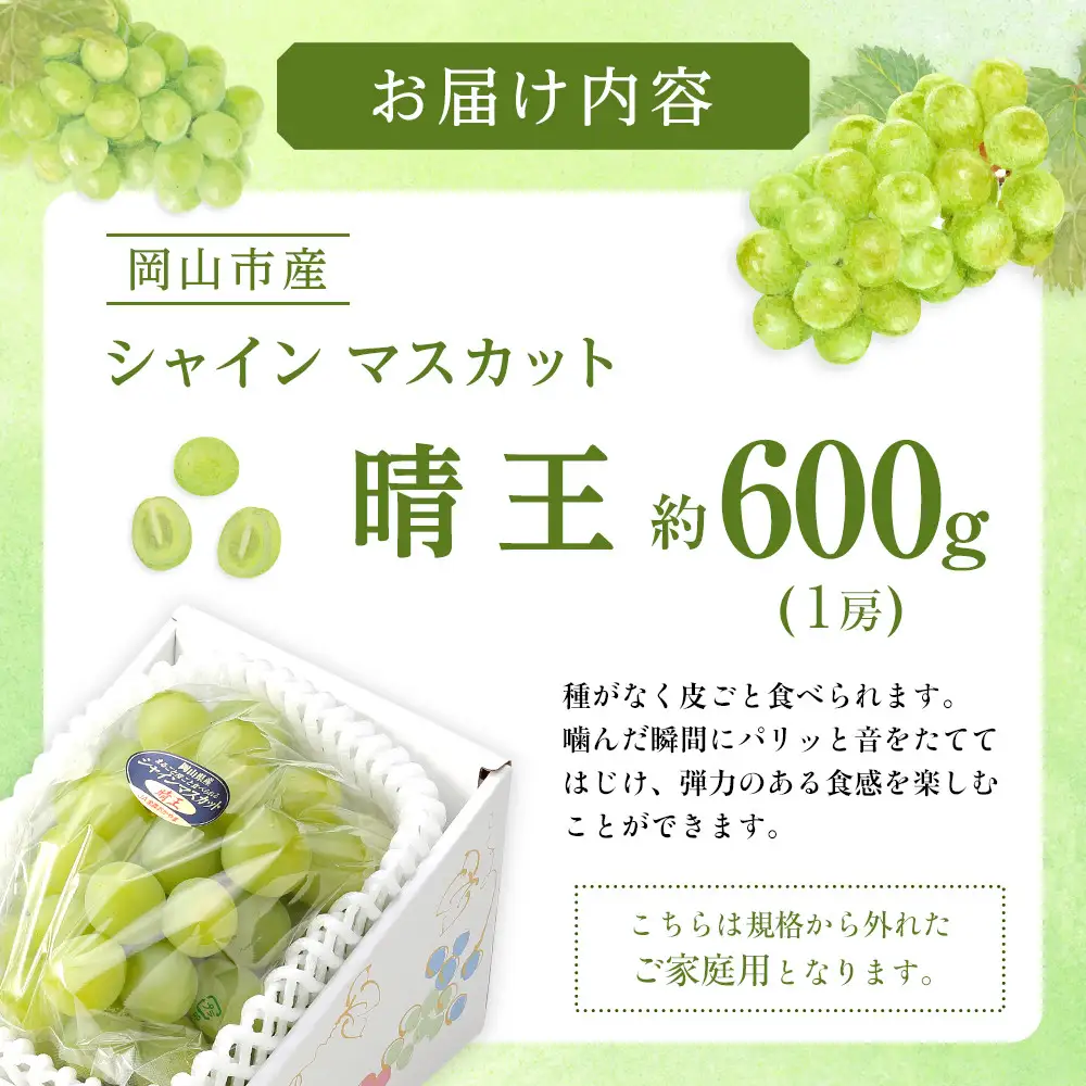 ぶどう 2026年  ご家庭用 シャインマスカット 晴王 約600g×1房 葡萄  岡山県産 国産 フルーツ 果物 | シャインマスカット