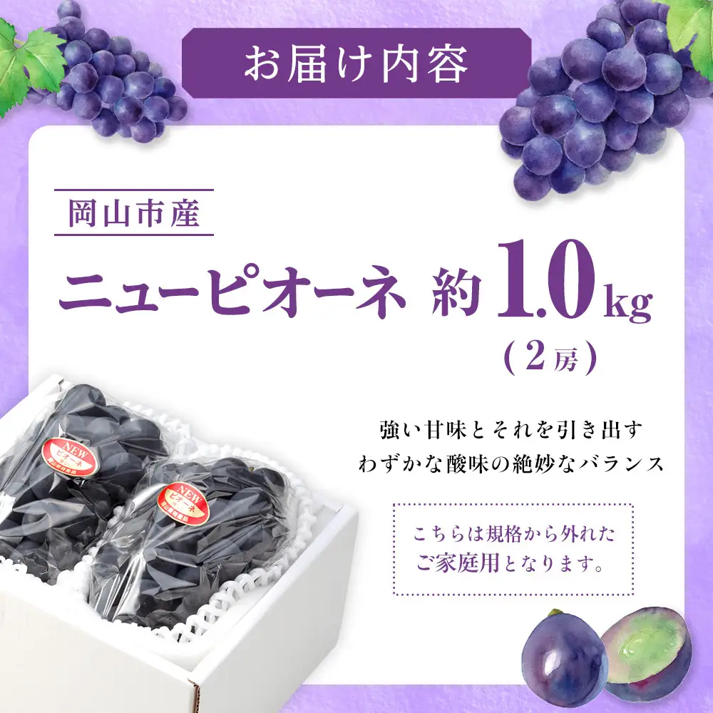 ご家庭用 ニュー ピオーネ 約500g×2房 ｜ ピオーネ　