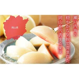 2026年  岡山   白 桃   ロイヤル 4～8玉 約1.2kg JAおかやま（早生種・中生種）｜ 桃