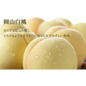 桃 ぶどう 2026年 岡山 白桃 ロイヤル 2玉×約200g（Lサイズ、早生種・中生種）ニュー ピオーネ 1房約400g 詰め合わせ 岡山県産 フルーツ