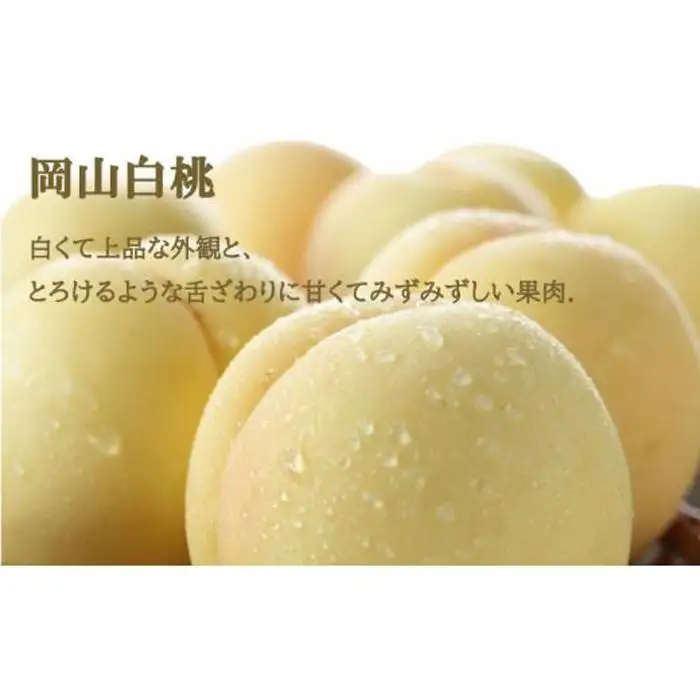 ぶどう 2026年 岡山 白桃 ロイヤル 2玉×約200g（Lサイズ、早生種・中生種） シャインマスカット 晴王 1房約400g 詰め合わせ フルーツ | シャインマスカット