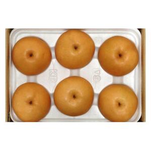 梨 2026年 岡山県産 新高梨 約3kg ( 4～6玉 ) お届け：：10月中旬～11月中旬