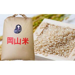 令和7年産 石原果樹園の備前乙女 米  玄 米  30kg （30kg×1袋）