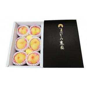 岡山の桃　白桃5～6玉（約1kg）