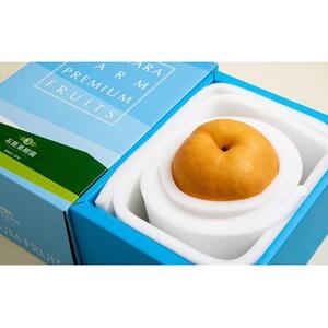 梨  2026年 備前横綱梨（あたご梨） 超大玉1玉 1kg～1.5kg 箱赤秀【ナシ なし 岡山県産 国産 フルーツ 果物 ギフト 石原果樹園】