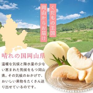 桃 2026年 清水 白桃 5～6玉入 約1.5kg 岡山市一宮地区産 もも モモ フルーツ 果物 ギフト