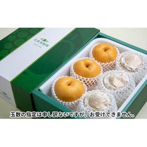 梨 2026年  あたご梨 3～9玉 合計約4.5kg 贈答箱赤秀【ナシ なし 岡山県産 国産 フルーツ 果物 ギフト 石原果樹園】