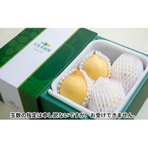 梨 2026年  鴨梨（ヤーリー）3～6玉 約2kg 贈答箱赤秀【ナシ なし 岡山県産 国産 フルーツ 果物 ギフト 石原果樹園】