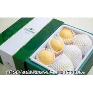 梨 2026年  鴨梨（ヤーリー）5～10玉 約3kg 贈答箱赤秀【ナシ なし 岡山県産 国産 フルーツ 果物 ギフト 石原果樹園】