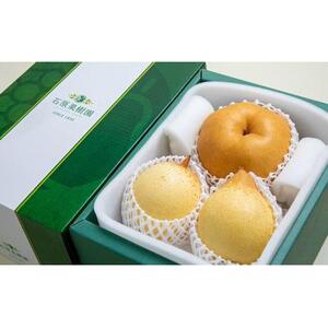 梨 2026年  あたご梨・鴨梨（ヤーリー）詰合せ 合計約2kg 贈答箱赤秀【ナシ なし 岡山県産 国産 フルーツ 果物 ギフト 石原果樹園】