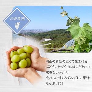 ぶどう 2026年 シャイン マスカット 2房 合計約1kg  種無し ブドウ 葡萄 岡山市産 国産 フルーツ 果物 渡邊農園