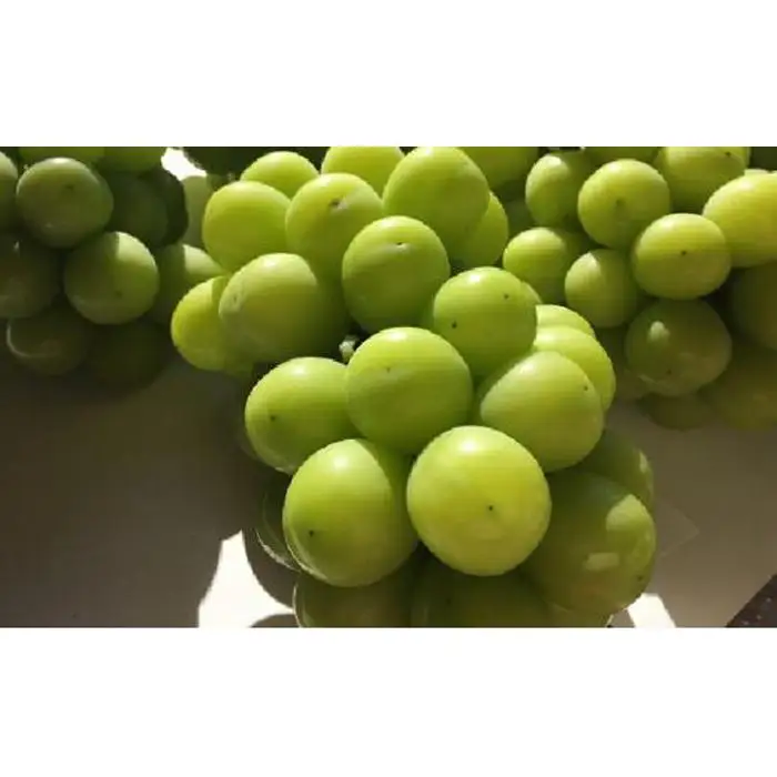 岡山県産 贈答用シャインマスカット 1房 800g前後 フルーツ ぶどう 葡萄 ひらた農園 2026年