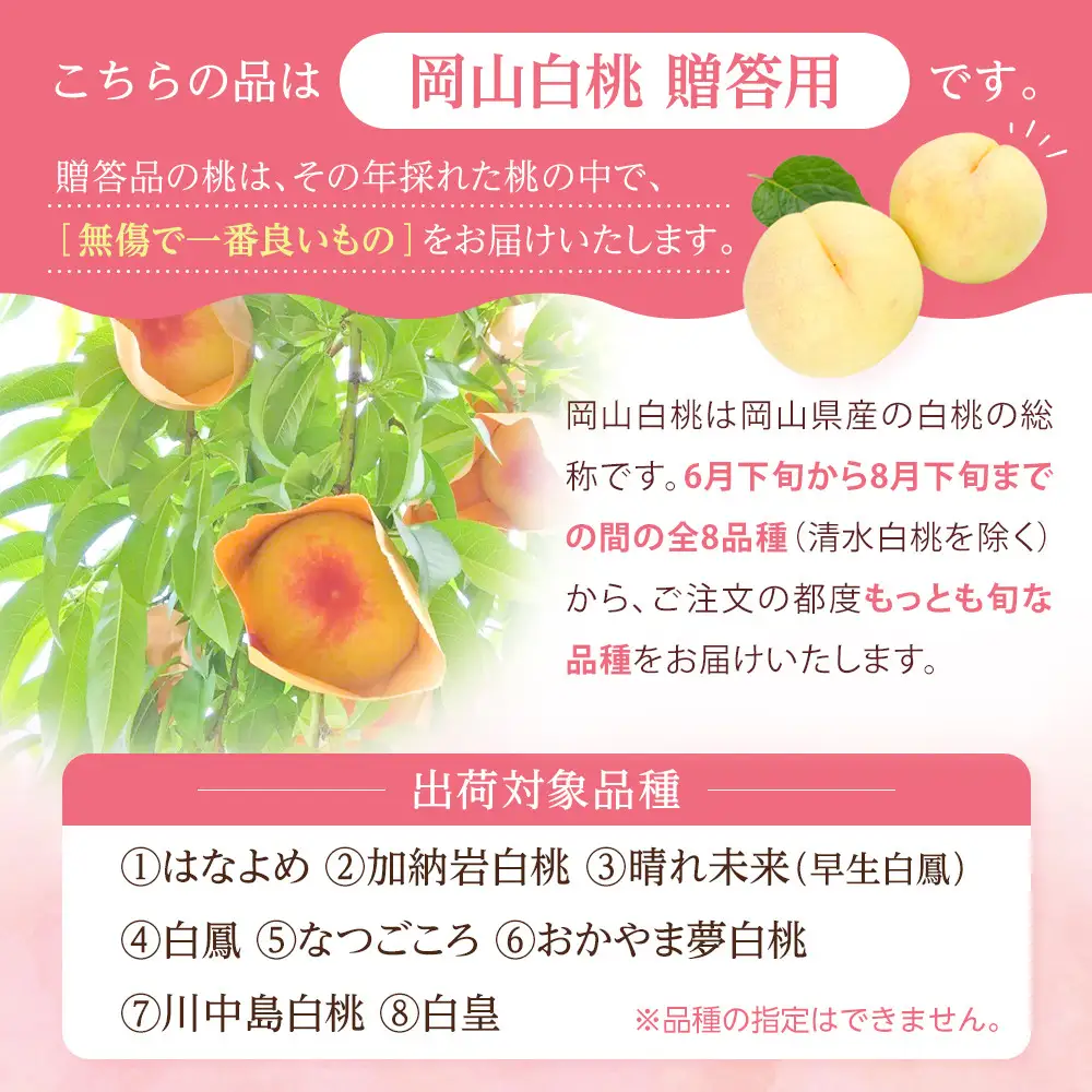 2026年 先行予約 贈答用 岡山  白 桃  早生、中生種 約2kg（5～7玉）｜ 桃