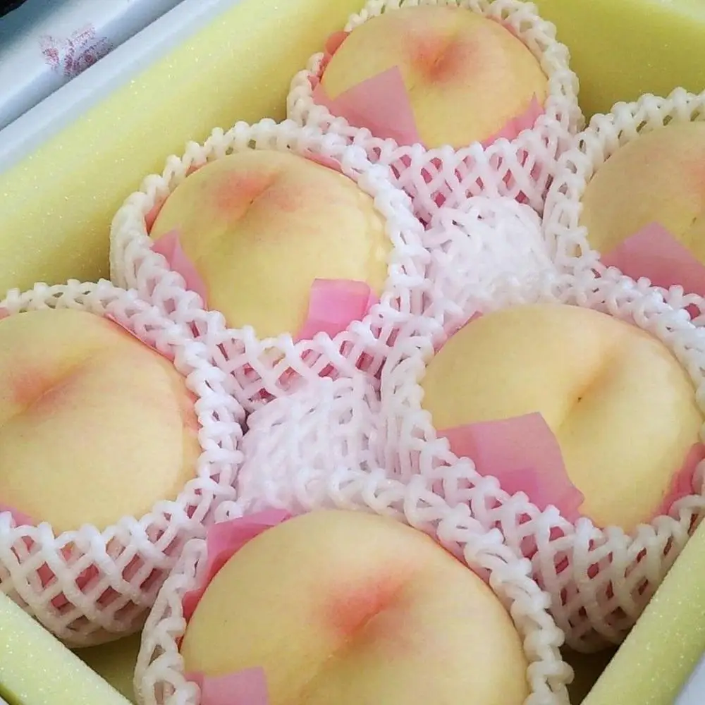 桃 2026年 贈答用 岡山 清水 白桃  約2kg（5～7玉） もも 