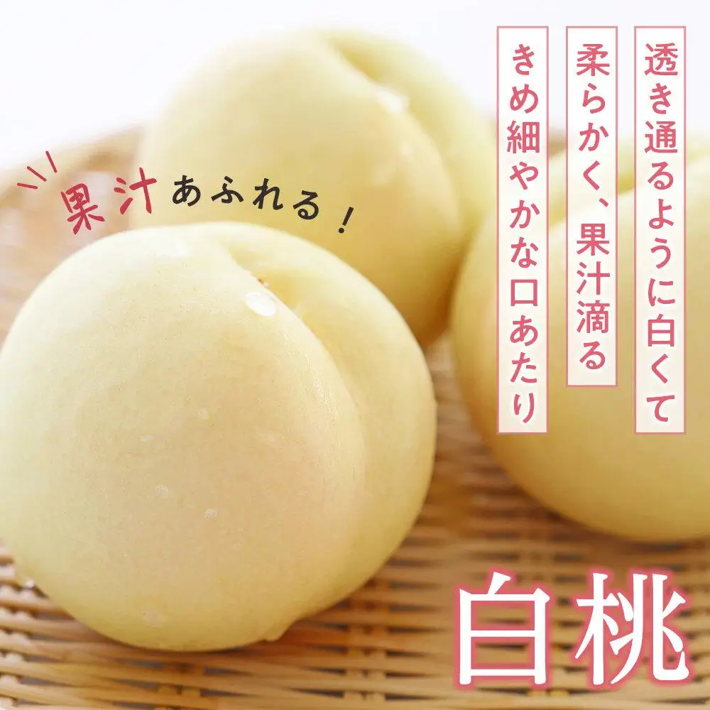桃 ぶどう 2026年  白 桃 2玉（1玉200g以上） ニュー ピオーネ 2房（合計約940g）詰合せ もも 葡萄 岡山県産 フルーツ 果物 ギフト