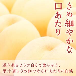 桃 ぶどう 2026年  岡山の 果物 詰合せ 岡山 白桃 2玉 シャイン マスカット 晴王 2房 化粧箱入り 岡山県産 国産 フルーツ 果物 ギフト