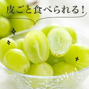 桃 ぶどう 2026年 果物 詰合せ 白桃 2玉（1玉220g以上）シャインマスカット 晴王 2房（1房480g以上）化粧箱入り もも 葡萄 岡山県産 国産 フルーツ 果物 ギフト