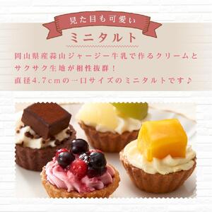 ＜一口サイズの見た目も可愛いみにたると♪＞ミニタルト 15個 フレッシュタルトのお店 STYLE 岡山にあるタルト専門店 スイーツ デザート ケーキケーキケーキケーキケーキケーキ